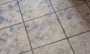 Little Bulldog Makes a Big Blue Mess