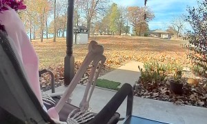 Package Thief Caught Red-Pawed