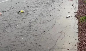 Las Vegas Flash Flood Taking Out The Trash