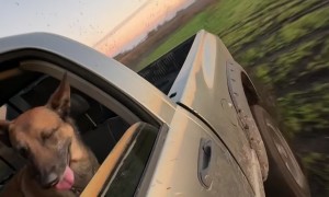 Took Pup for a Drift