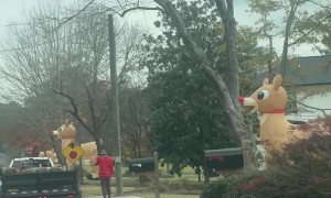 Why Is There a Rudolph in Every Yard?