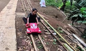 Roller Coaster in the Forest