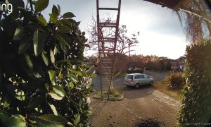 Man Falls From Ladder While Hanging Christmas Lights