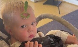 Baby Unbothered By Frog Jumping On Head