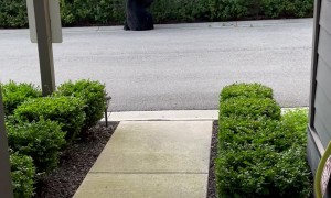 I Didn’t Need to Go Outside Anyway…