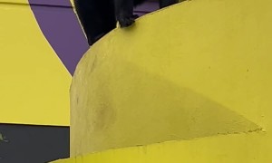 Bear on the Roof of the Bubba Gump Restaurant