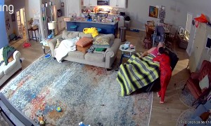 Kiddo Crawling on All Fours Startles His Family