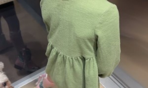 Leg Blocks Racing Puppy