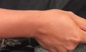 New Buggy Takes A Hit