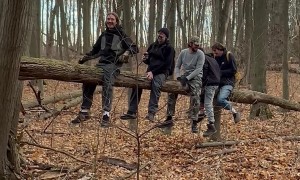 Tree-ter Totter In The Woods