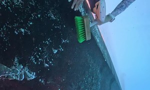 Diver Cleans the Underside of a Boat