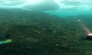 Diver's Flashlight Highlights Sea Angel Clione