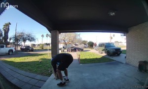 Amazon Delivery Man Is Best Friends With My Cat