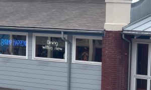 Bear on a Bubba Gump in Gatlinburg