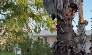 Rocket Launch Rattles Nearby Home