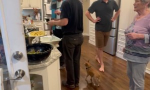 Dad Invites Amazon Delivery Driver in For Thanksgiving Meal