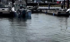 Boat Ramp Chaos at Port of Siuslaw Marina