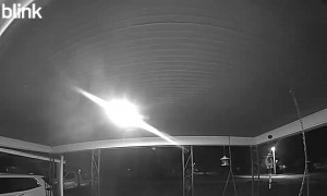 Neighbor's Dog Takes Food From Porch