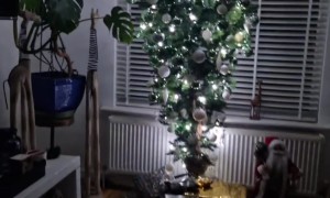 Upside-Down Christmas Tree
