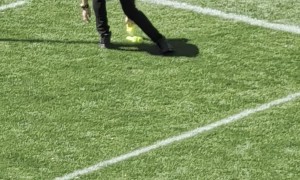 Adult Toy In The Endzone