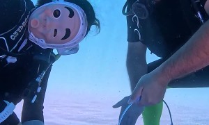 Ship Bottom Cleaning in Masks