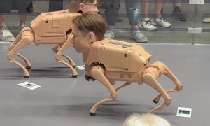 Artist Beeple's 'Regular Animals' at Art Basel