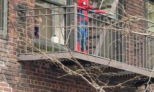 Little Spider-Man Watches Big Spider-Man Balloon Fill Up