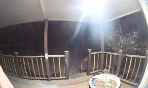 Naked Streaker Steals Blanket Off Porch