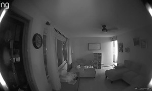 Ring Camera Captures Man Falling Into Home