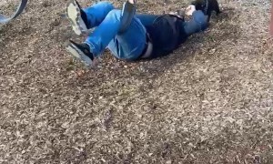 Dad and Dog Fall Off Swing