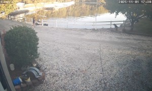 Girls' Golf Cart Joyride Goes Wrong