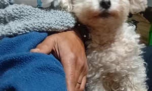 Rocking the Babies to Sleep