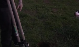 Happy Dog Helps Dad Dig Holes