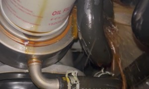 POV: You Found the Leak