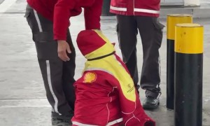 Kind Man Lends Stray Dog His Jacket