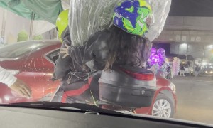 Couple Scooters Away With Christmas Tree