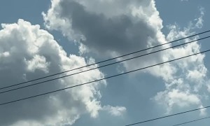 Peculiar Cloud Gives the Bird