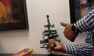 Coworkers Light Tiny Christmas Tree