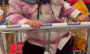 Sleepy Grocery Cart Snacking