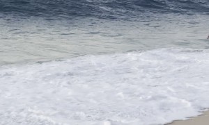 Inner Tube Boy Wipeouts on North Shore Break