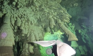 Bell-Shaped Stalactites in Mexico's Cenote Zapote