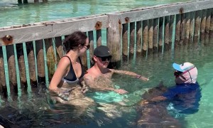 Shark Gets Offended After Woman Refuses a Kiss