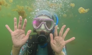 The Octopus Jellyfish of Lake Shiraishi