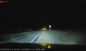 Car Swerves Around Deer Barely Clipping It's Antlers