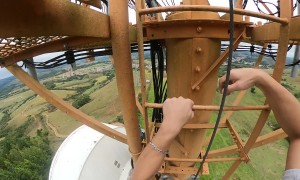 Bee Attack on Antenna Tower