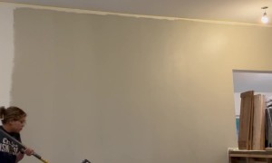 DIY Painter Tries To Roll Around Exposed Electrical Wires