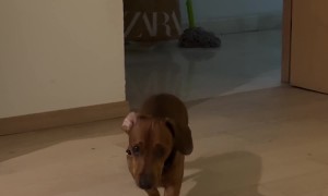 Asking for Forgiveness Because You Behaved Badly