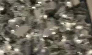 Dog Mad About Interrupted Mouth Licking