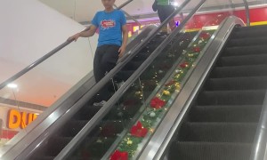Woman Distracted By Receipt Doesn't Move On Broken Escalator