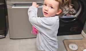 Girl Shuts Kitten Inside Fridge